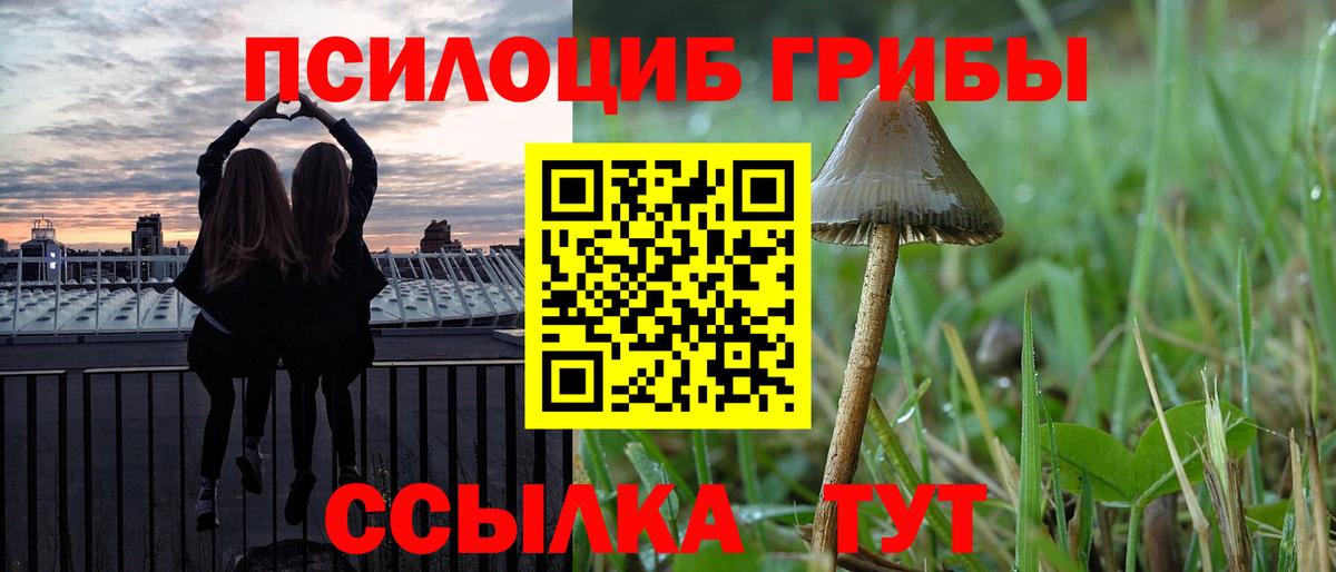 Галлюциногенные грибы MAGIC MUSHROOMS Клин